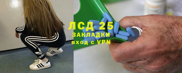 мяу мяу мука Белокуриха