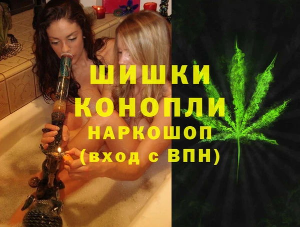 PSILOCYBIN Беломорск