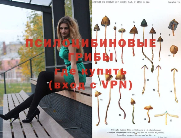 мяу мяу мука Белокуриха